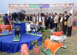 DairyMela-022602015.jpg