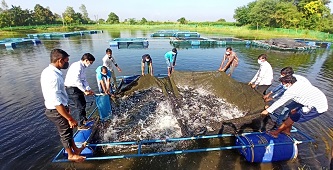 Demonstrations-of-Integrated-Aqua-Agri-Poultry-Goat-Farming-System-for-livelihood-and-nutritional-security-of-Tribal-Communities-in-Gujarat-01