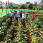 Demonstrations-of-Integrated-Aqua-Agri-Poultry-Goat-Farming-System-for-livelihood-and-nutritional-security-of-Tribal-Communities-in-Gujarat-02