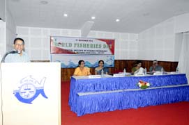 DirectorCIFT-22112016.jpg