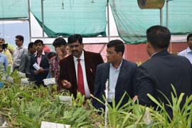 ExhibitionDDInterview-0202072015