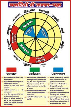Goat-Health-Calendar