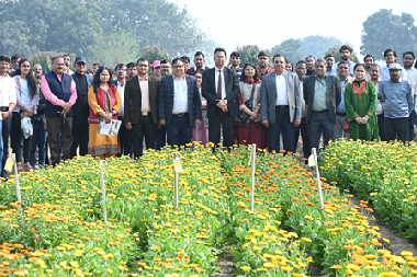 ICAR-IARI organizes Rose and Marigold Field Day