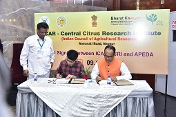 ICAR-CCRI-Nagpur-signs-MoU-with-APEDA-Ministry-of-Commerce-Industry-01