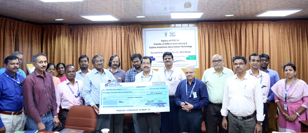 ICAR-Central20092019-2