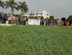 ICAR-Directorate-of-Weed-Research-Jabalpur-Madhya-Pradesh-02