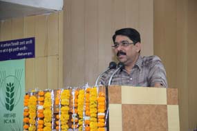 ICAR-IISSFoundationDay.022015.jpg