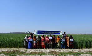 ICAR-Indian-Institute-of-Maize-Research-Ludhiana-Punjab-01