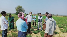 ICAR-Indian-Institute-of-Oilseeds-Research-Hyderabad-01