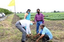 ICAR-Indian-Institute-of-Soybean-Research-Indore-Madhya-Pradesh-01