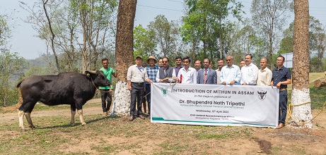 ICAR-Mithun-Nagaland-inaugurated-03_0.jpg