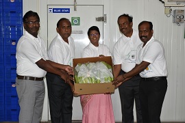 ICAR-NRC-on-Banana-and-VFPCK-Kerala-01.jpg