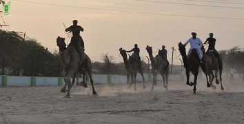 ICAR-NRC-on-Camel-showcases-relevance-of-Camel-during-International-Camel-Festival-04