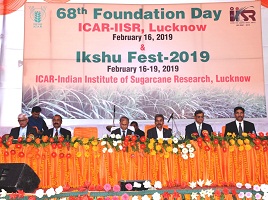 IISR-01-2019