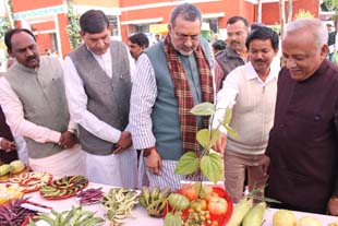 KVKSatna-01-13022015 .jpg