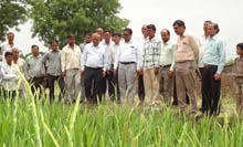 KVK_Indore1-s