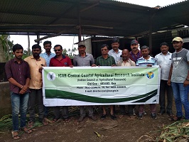 Kolhapurfloods0819-1