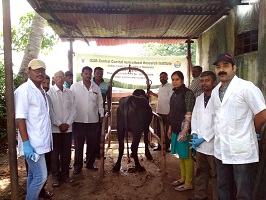 Kolhapurfloods0819-2