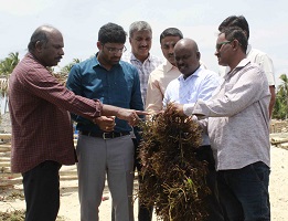 Mandapam-CMFRI-01