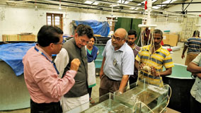 MinisterMudCrabHatchery