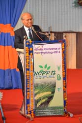 NCPP-2013-1