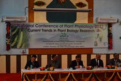 NCPP-2013-2