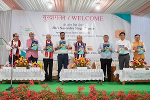 Nagaland-Centre-02