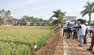 Newly-Developed-Technology-Park-and-Solar-Energy-based-Irrigation-System-inaugurated-at-ICAR-DWR-Jabalpur-04