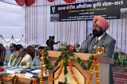 Northern-agri-fair-ivri-2015-1.jpg