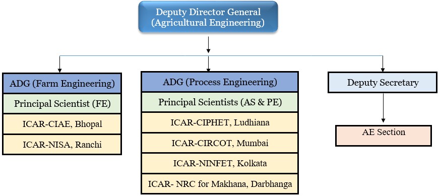 Organogram 