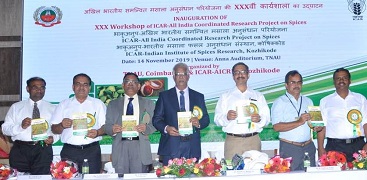 PHOTO-2019-11-17-15-00-29