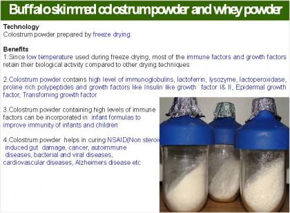 Buffalo skimmed Colostrum Powder & Whey Powder