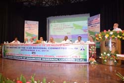 RCM-05-09-2014-2