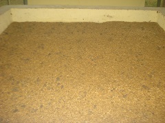 Rice-hull-01