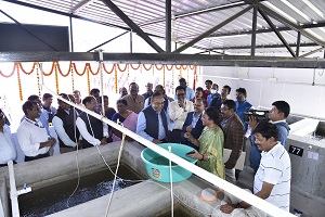 Scampi-Hatchery-ICAR-CIFA