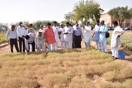 Shri-Kailash-Choudhary-Jodhpur-03.jpg