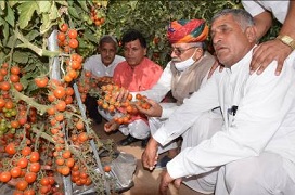 Shri-Kailash-Choudhary-Jodhpur-04.jpg