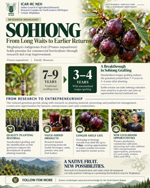 ICAR Research Breakthrough Reduces Sohiong Fruit’s Gestation Period to 3–4 Years, Boosts Commercial Potential in Meghalaya