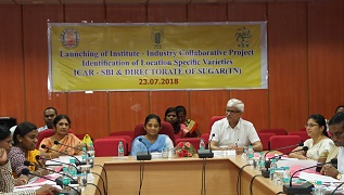 TNDirectorofSugarspeaks-2