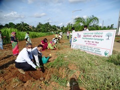 TREE-PLANTATION-01