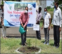 TREE-PLANTATION-11