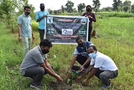 TREE-PLANTATION-12