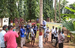World-Coconut-Day-2021-02