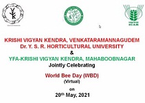 YFA-Krishi-07.jpg