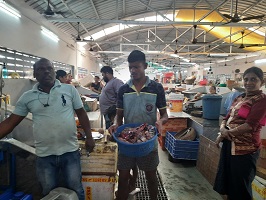 Zero-waste-fish-market-mode-03_0.jpg 