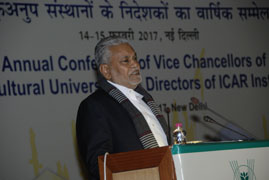 agm-02-14022017.jpg