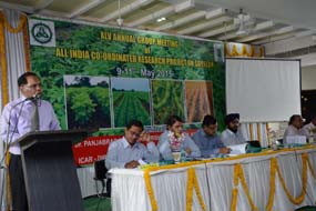 agmaicrpsoybean-01.jpg