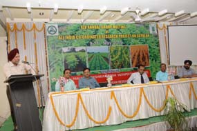 agmaicrpsoybean-02.jpg