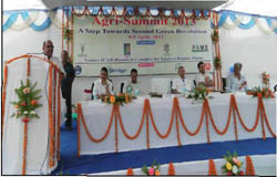 agri-summit-09-04-2013-1