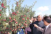 apple-day-23-09-2015-3.jpg